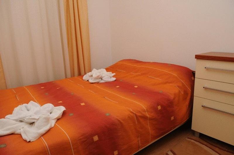 Northern Star Bansko Habitación foto
